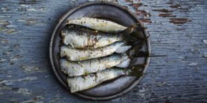 Best Sardines for Dogs' Health & How to Choose Two Dog Zoo