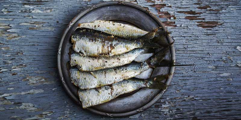 sardines in plate review