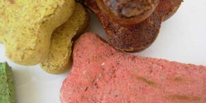 best high value treats for dogs