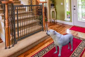 best stair gate for dogs