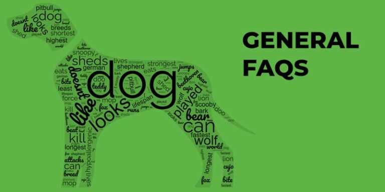 An Ultimate List of FAQs Regarding the Dogs – Asked by Readers!