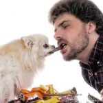 why-dog-cant-eat-chocolate-