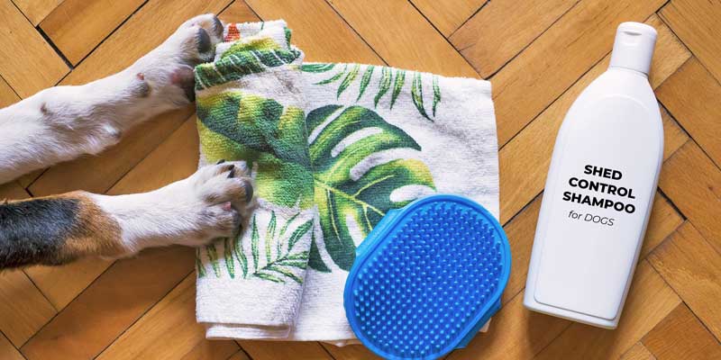 best deshedding shampoo for dogs