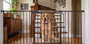 best-stair-gate-for-dogs